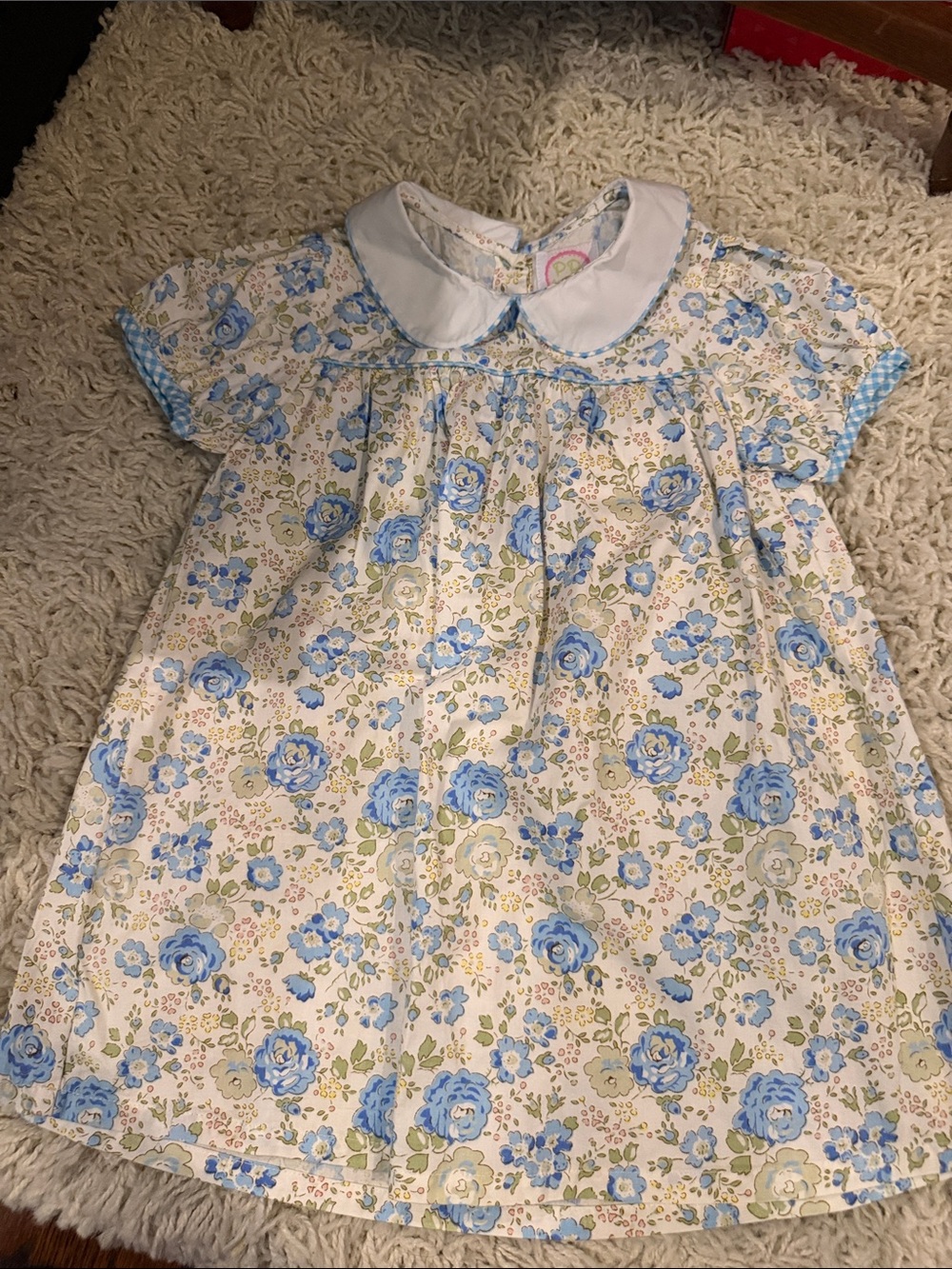 Blue Floral Peter Pan Collar Kids Dress